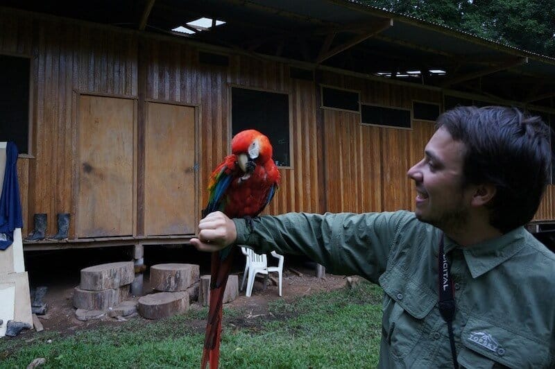 François et Pepe, l'ara Macao