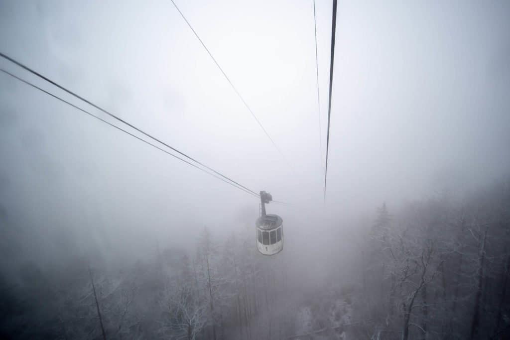 Allemagne, voyage, Harz, nature, colombage, parc, réserve, train à vapeur