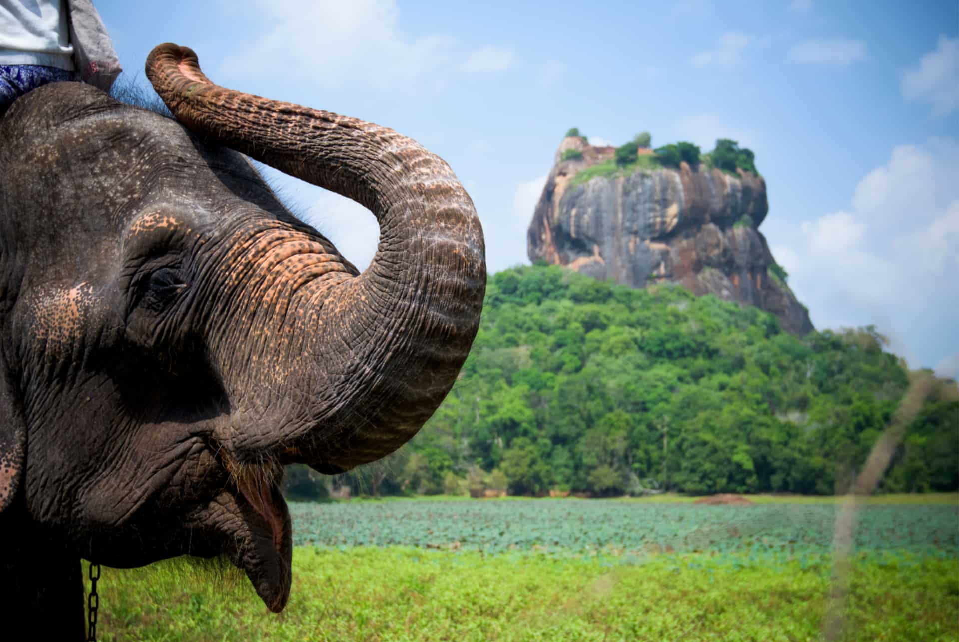 sri lanka