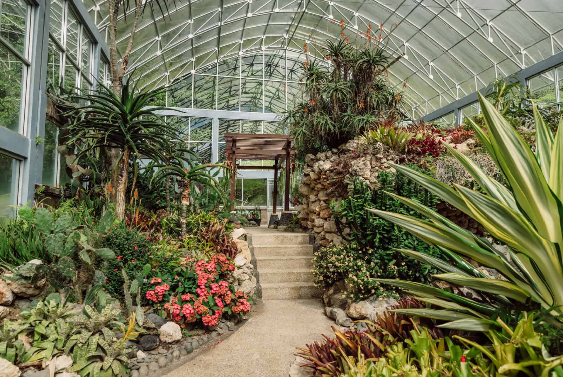 jardin botanique bali