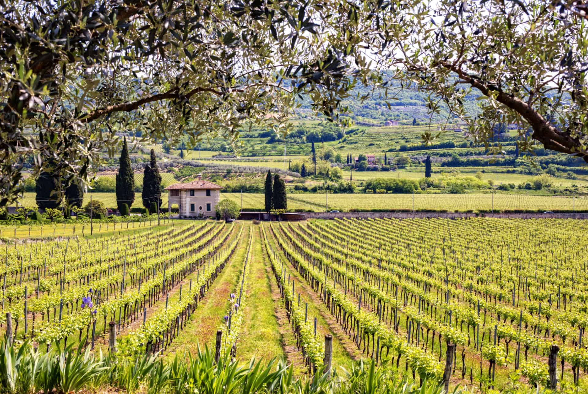 visiter les vignobles toscane