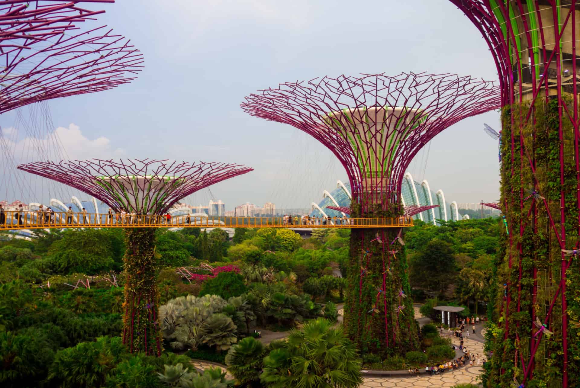 garden by the bay singapore