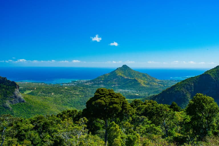 Randonnée dans le parc national de Rivière Noire