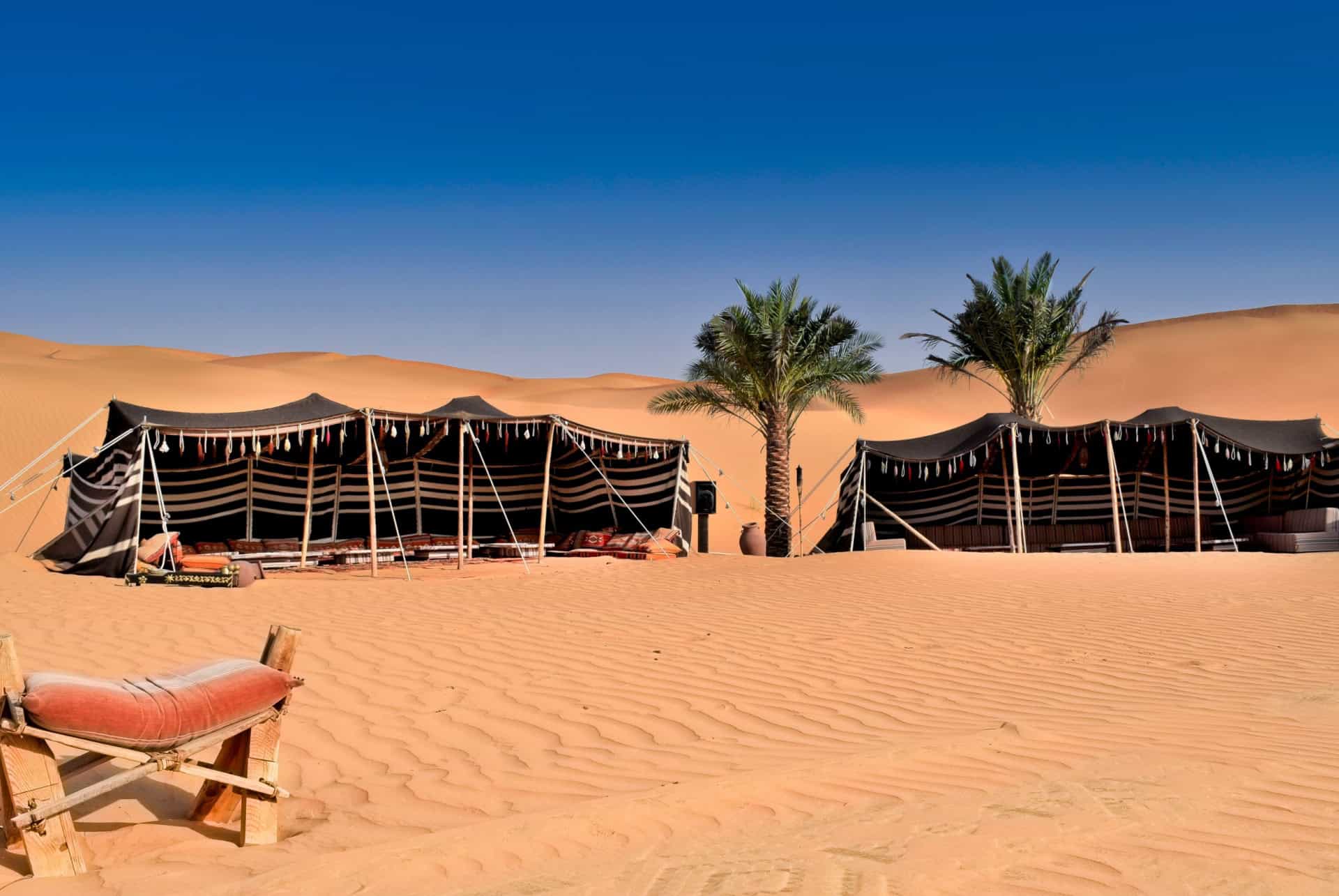 camp bedouin abu dhabi