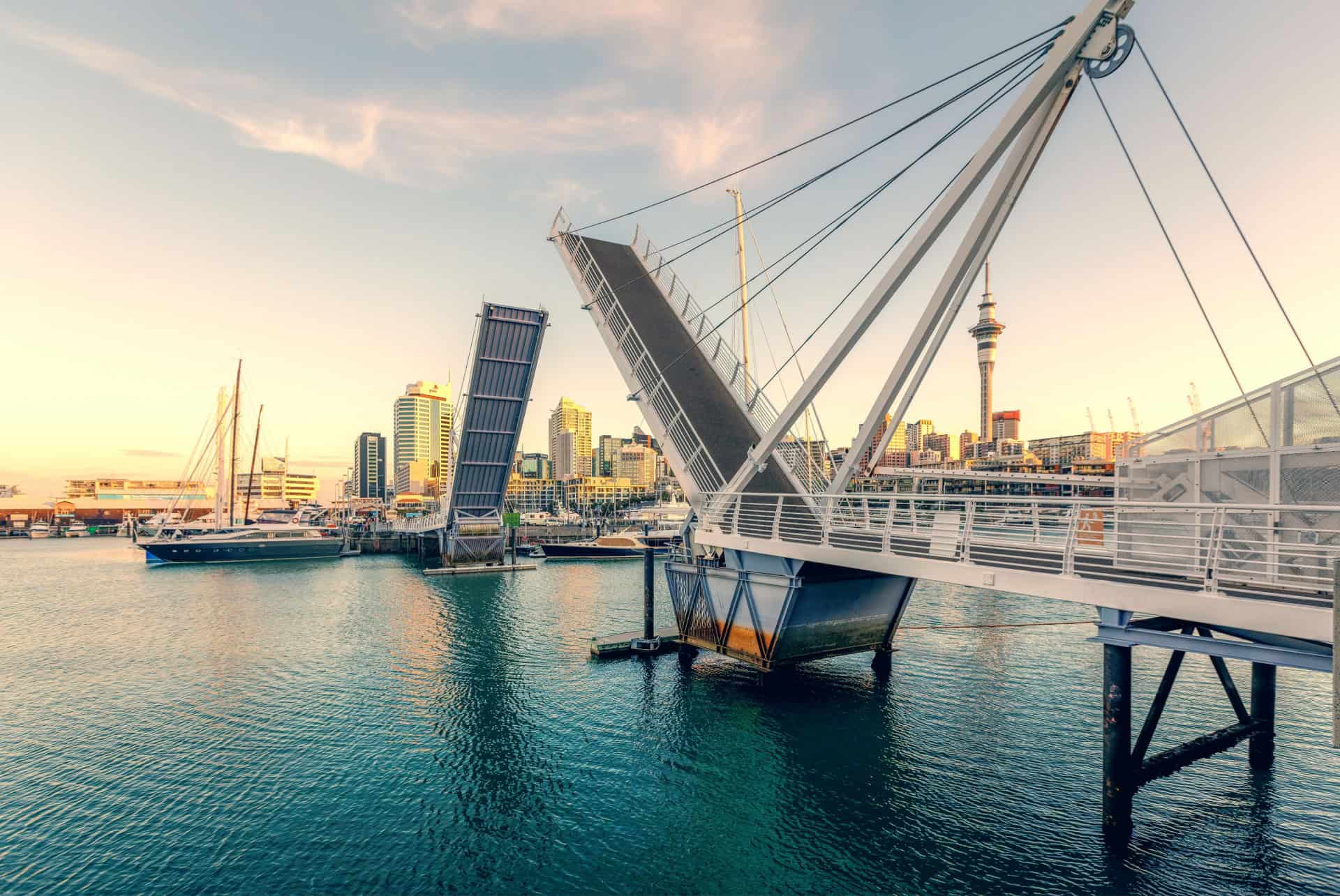 viaduct harbour que faire auckland