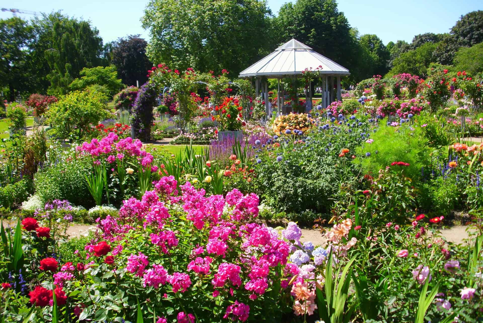 jardin botanique de hambourg