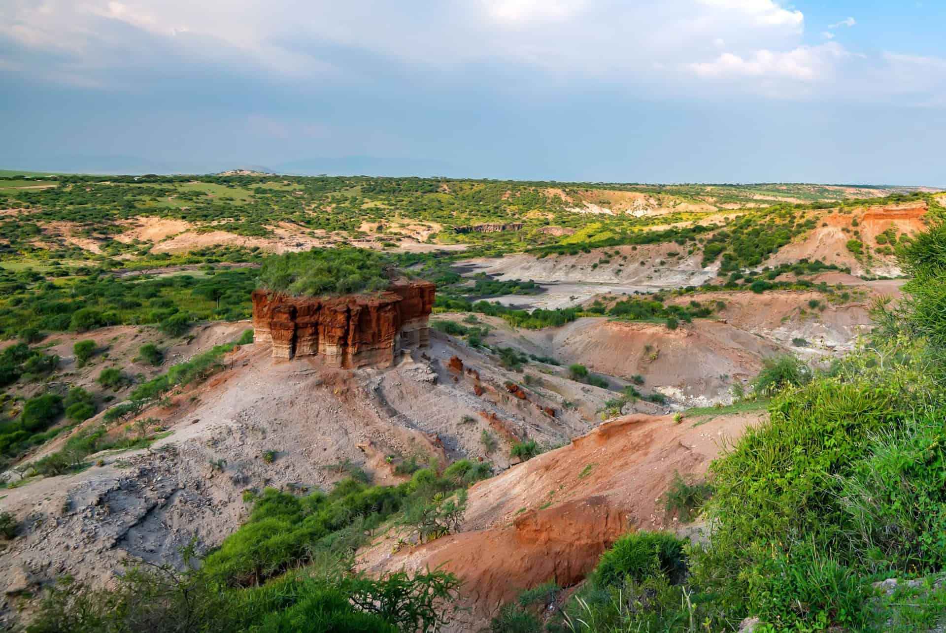 gorges olduvai tanzanie