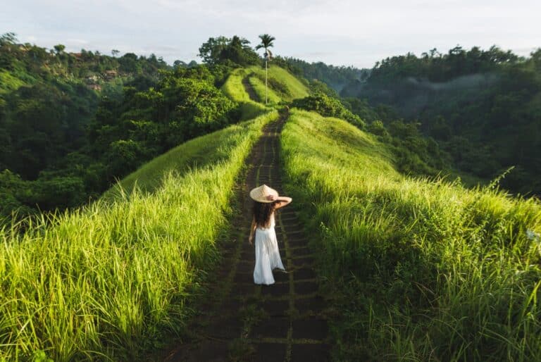 Visites des cascades depuis Ubud
