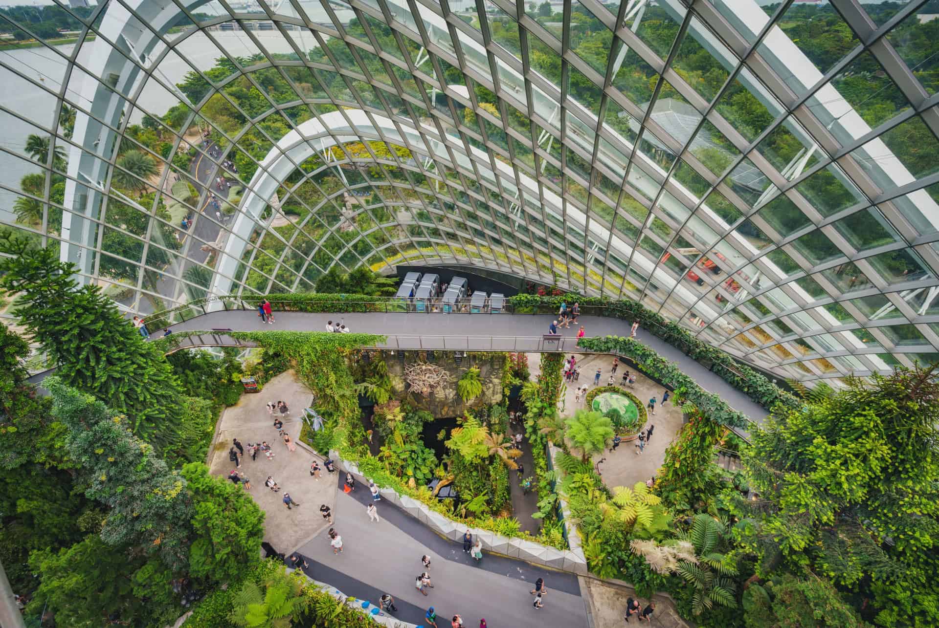 jardin botanique que faire a singapour
