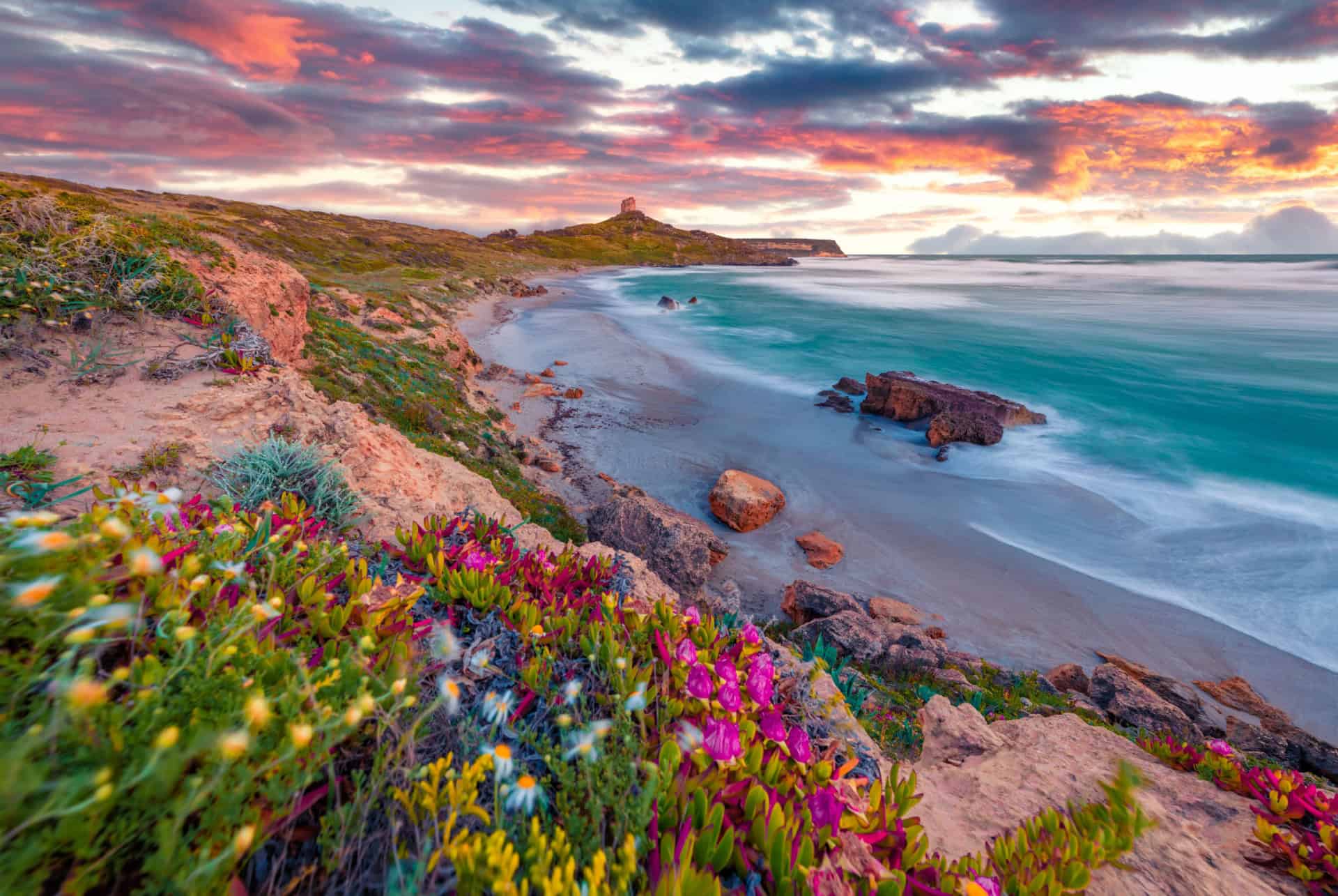 quand partir en sardaigne