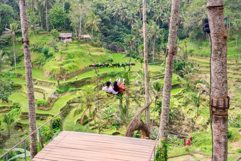 Zipline, Swing et SkyBike dans les rizières