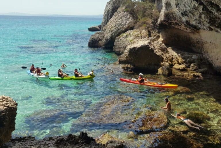 Excursion en kayak dans la réserve naturelle