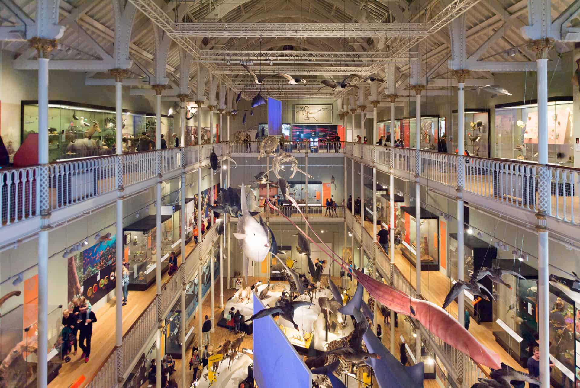 musée national d'écosse