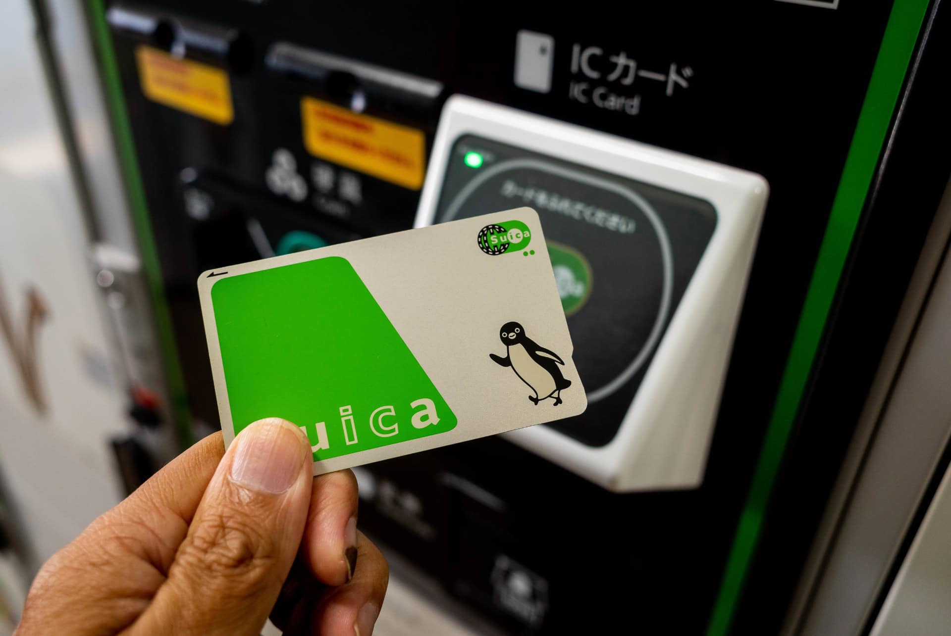 carte de transport suica