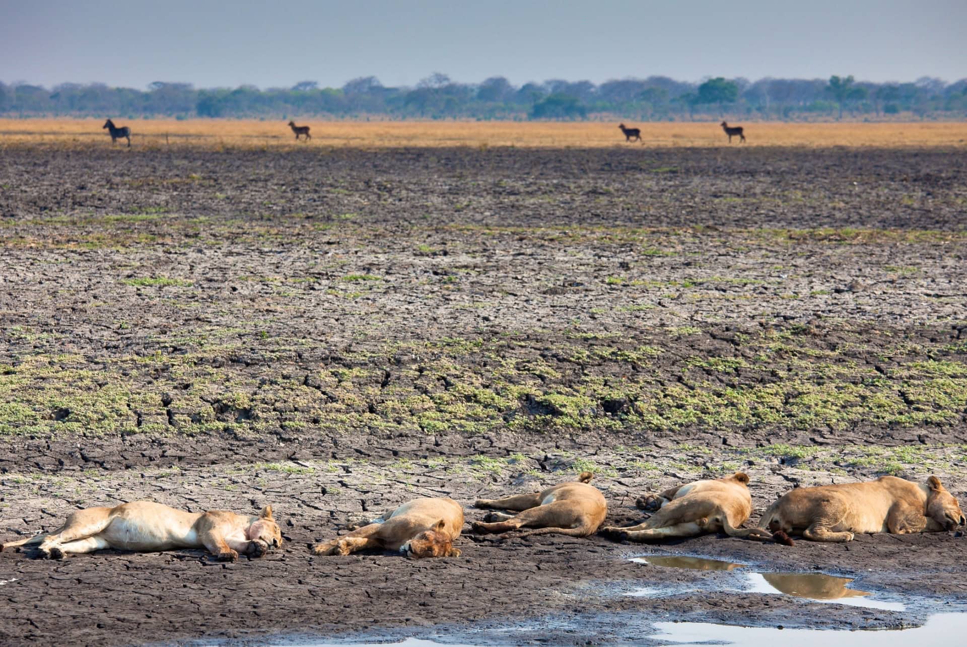 parc national de katavi