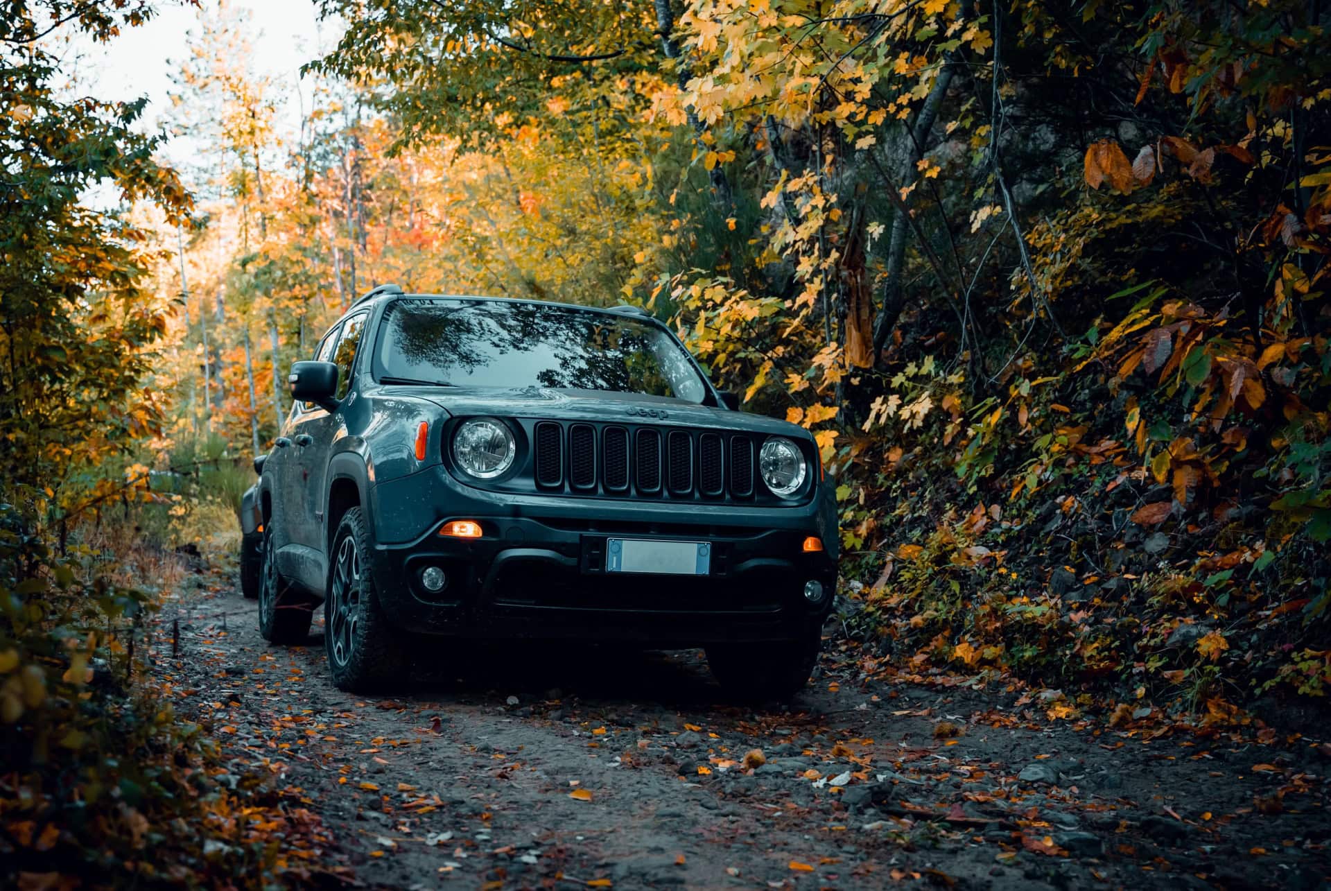quelle voiture de location choisir a madere