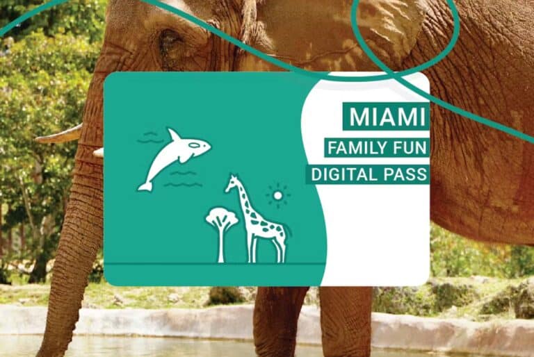 Family Fun Pass