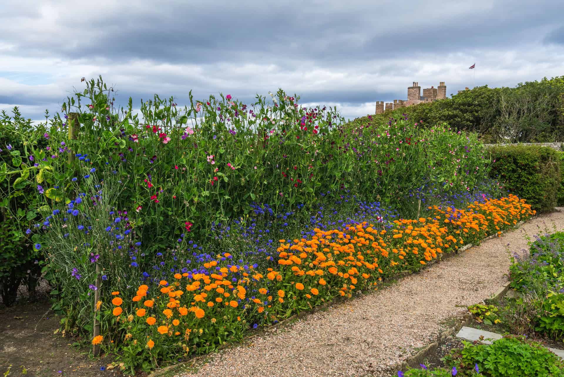 jardins du chateau de mey