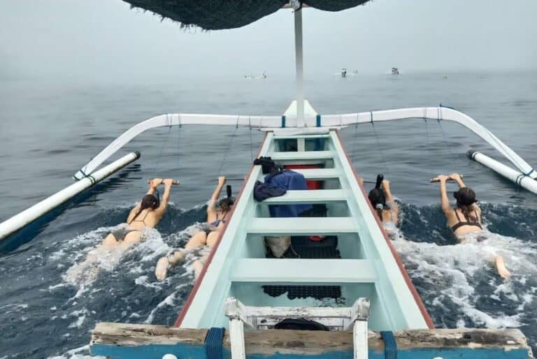 Visite privée pour observer et nager avec les dauphins