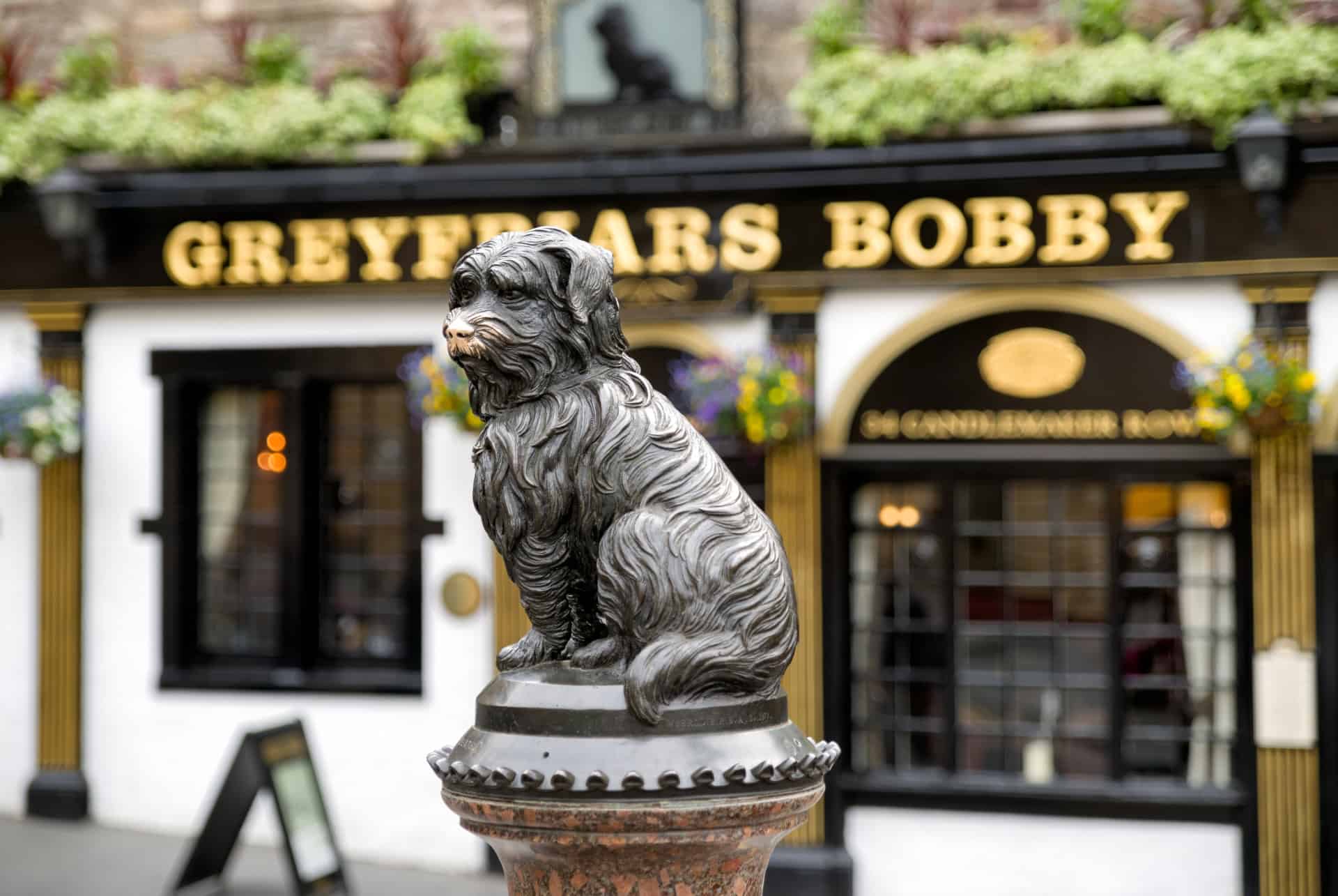 statue de bobby greyfriars