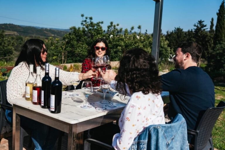 Visite guidée et dégustation de vin à la cave Quinta da Tôr