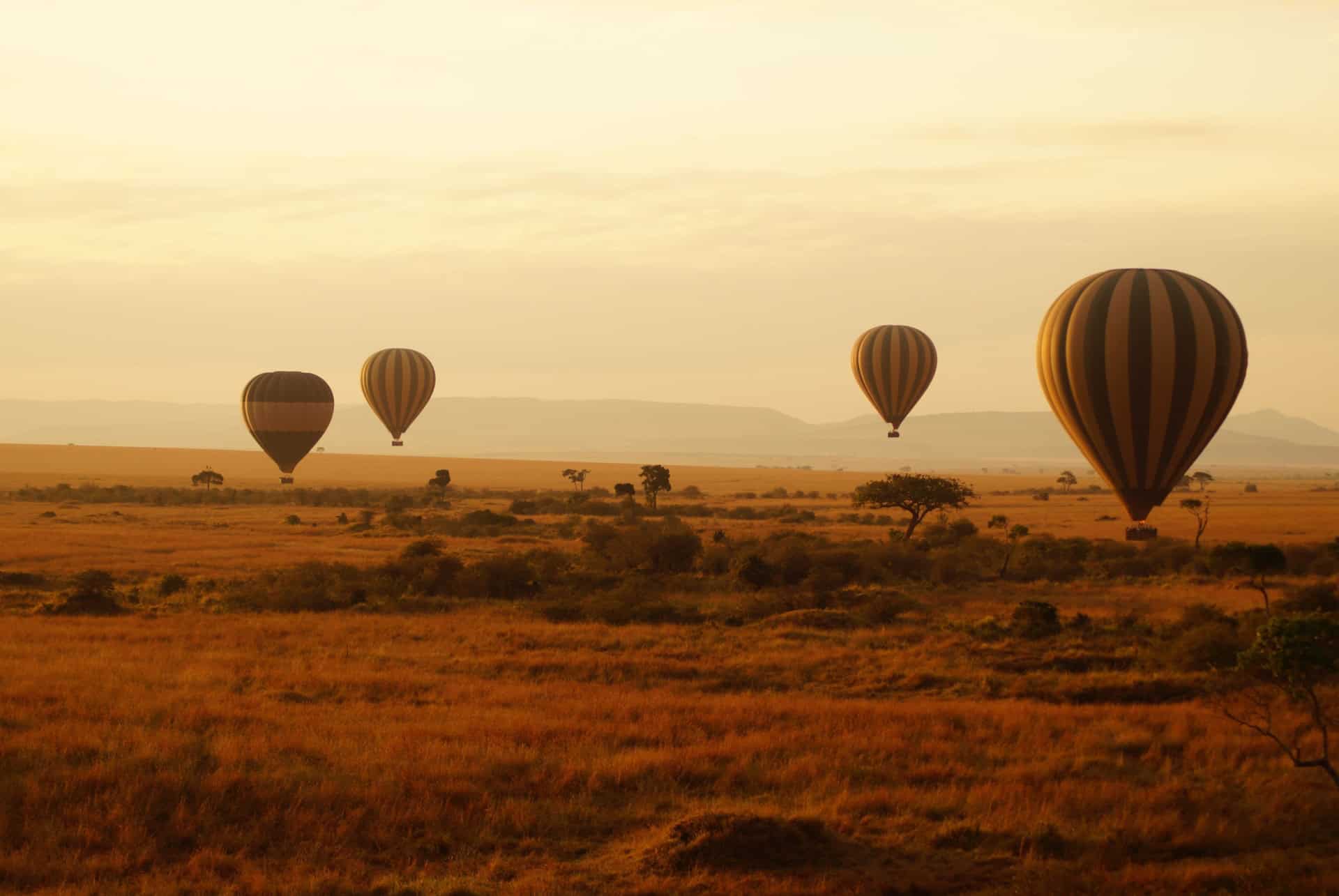 vol en mongolfiere dans le masai mara