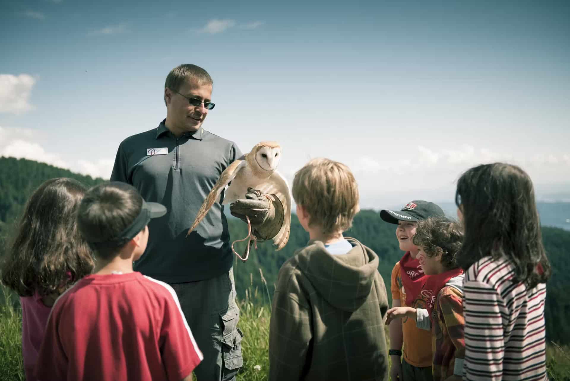 atelier autour des rapaces a grouse mountain