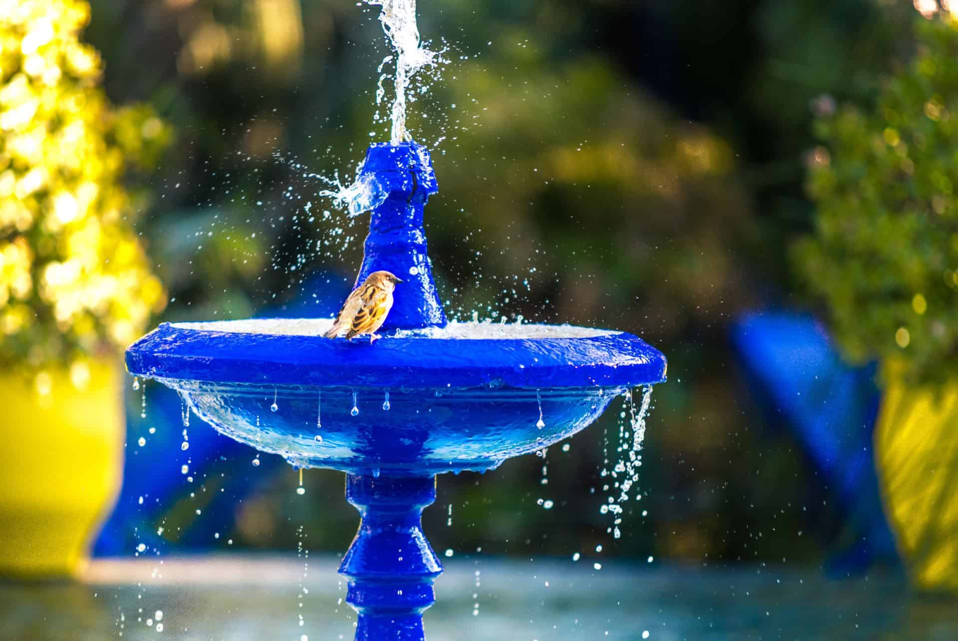 fontaine majorelle