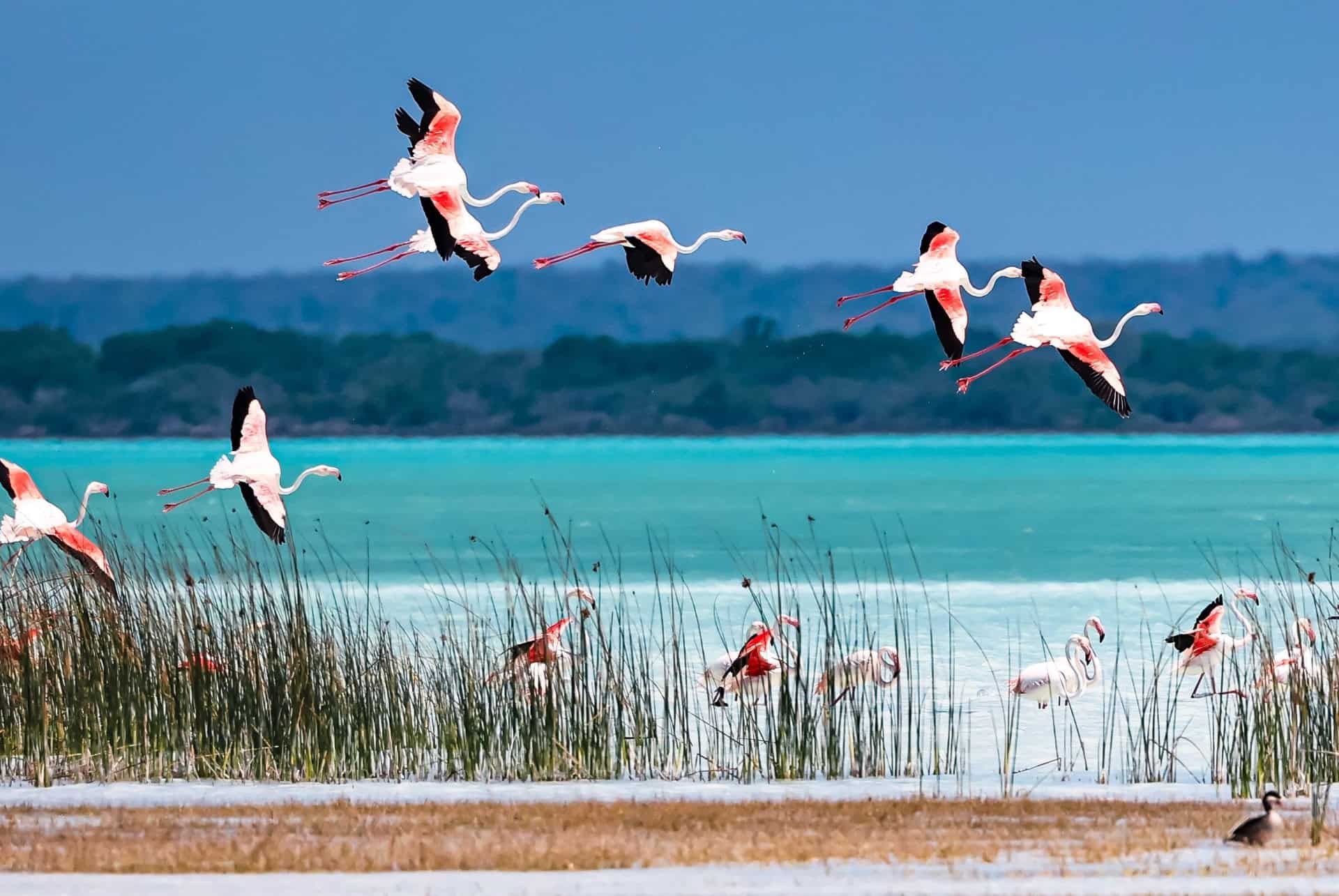 ou partir en octobre madagascar
