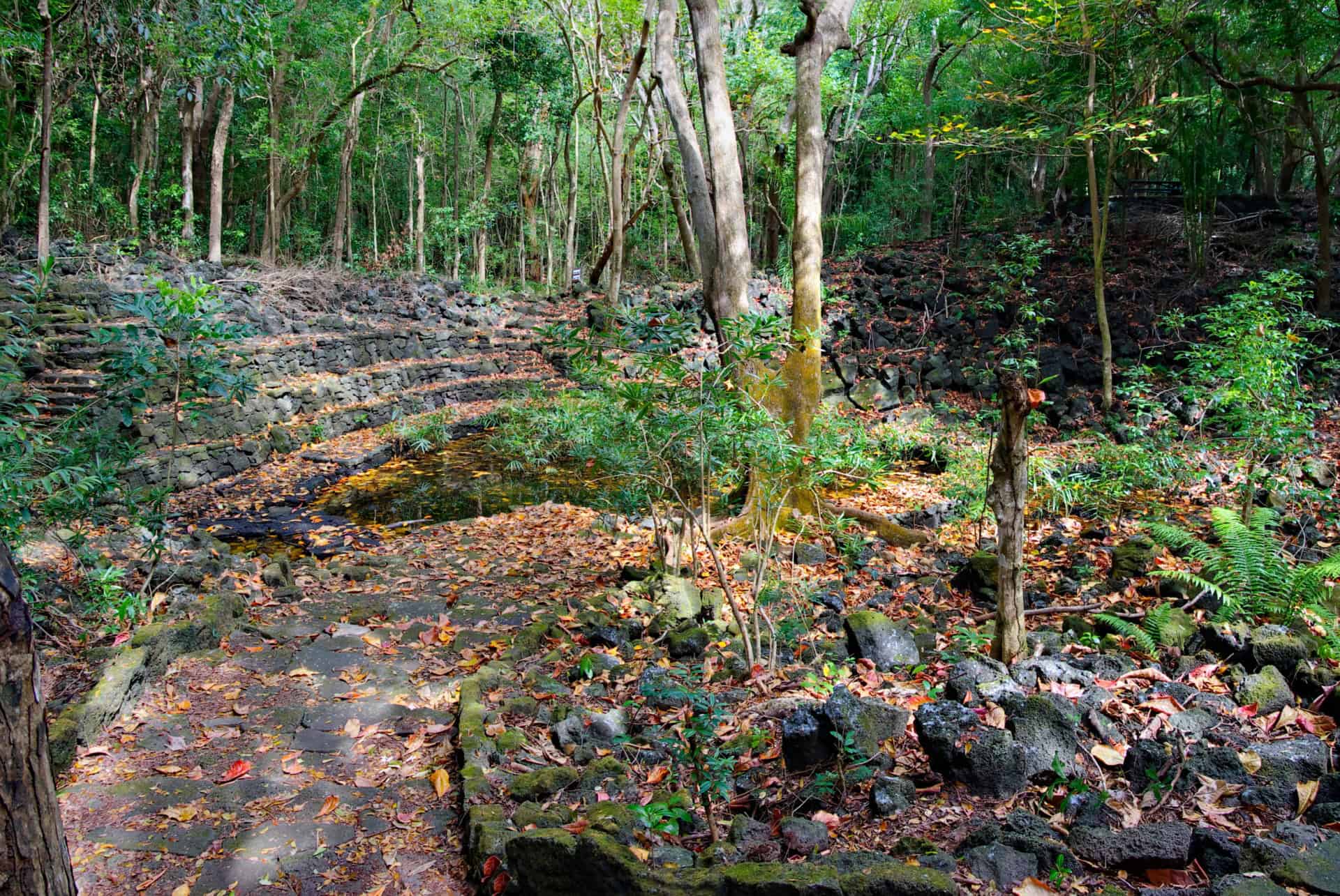 parc national de bras eau