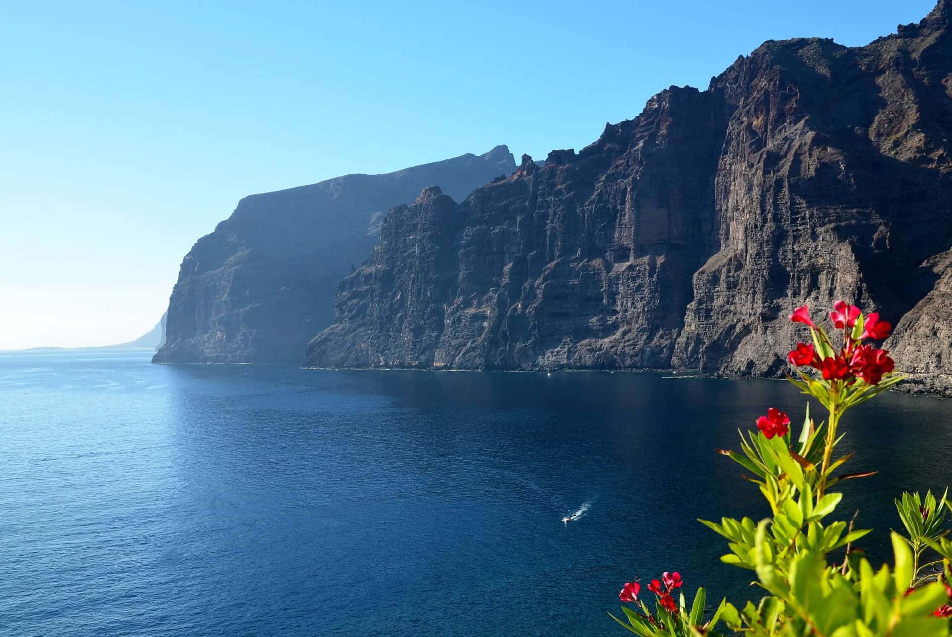 falaises los gigantes tenerife