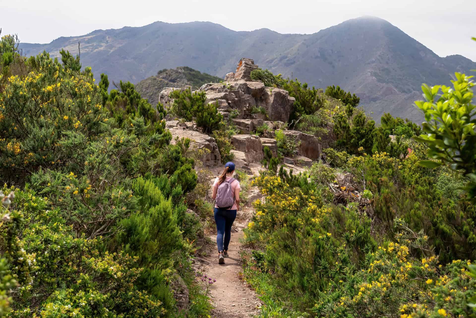 parc rural de teno tenerife