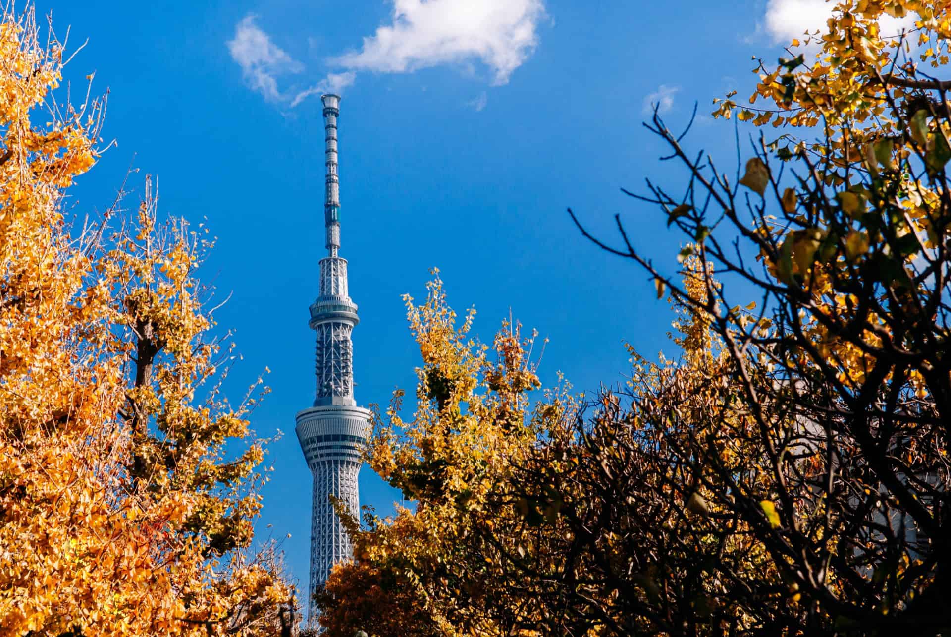 tour skytree tokyo en septembre